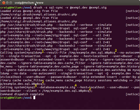 drush sql-sync output